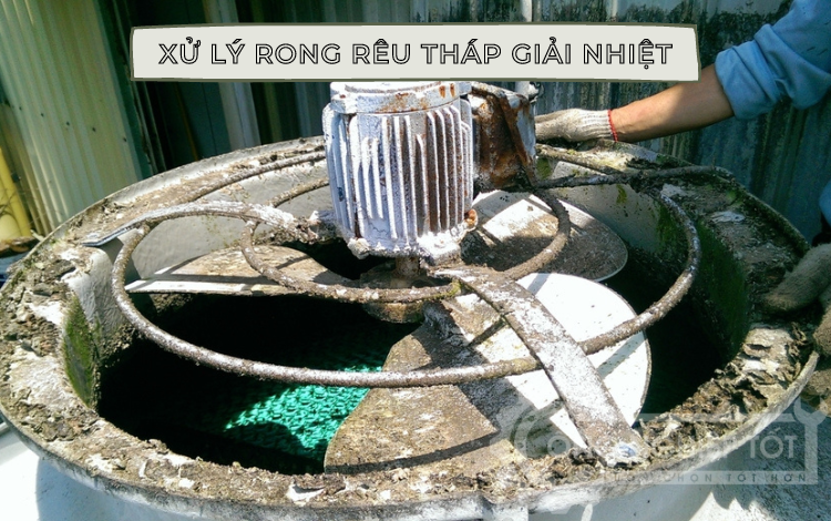 Hãy liên hệ với đơn vị có chuyên môn để vệ sinh, loại bỏ rong rêu trong tháp làm mát